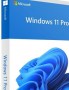 windows 11 prot
